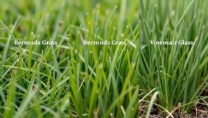 أنواع مختلفة من التيل الطبيعي المناسب للمناخ الكويتي أنواع مختلفة من التيل الطبيعي المناسب للمناخ الكويتي