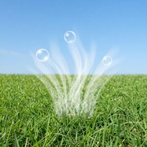 التيل الطبيعي ينقي الهواء في الحديقة التيل الطبيعي ينقي الهواء في الحديقة