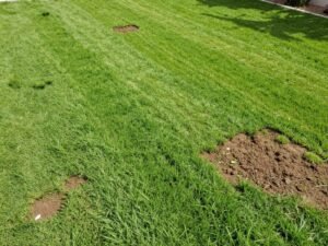 التيل المقصوص بشكل منخفض جداً يعاني من الإجهاد التيل المقصوص بشكل منخفض جداً يعاني من الإجهاد