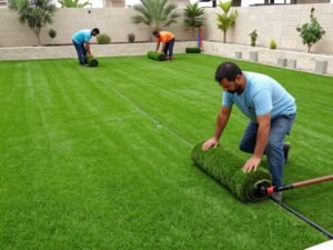 تركيب العشب الطبيعي الكويت تركيب العشب الطبيعي الكويت