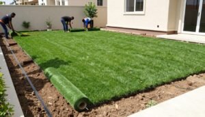 تركيب العشب الطبيعي في حديقة فيلا بالكويت تركيب العشب الطبيعي في حديقة فيلا بالكويت