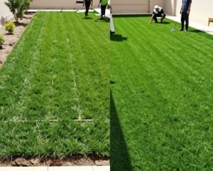 تركيب العشب الطبيعي والصناعي في حدائق الكويت