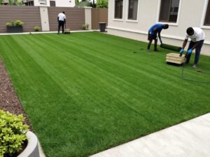 تركيب عشب طبيعي عالي الجودة في الكويت تركيب عشب طبيعي عالي الجودة في الكويت