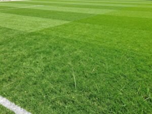 ثيل الريجراس المعمر للملاعب الرياضية ثيل الريجراس المعمر للملاعب الرياضية