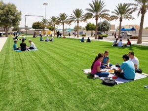 حديقة عامة في الكويت مع مساحات واسعة من الثيل الصناعي حديقة عامة في الكويت مع مساحات واسعة من الثيل الصناعي