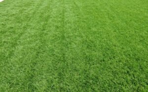 عشب صناعي عالي الجودة في حديقة منزل كويتي عشب صناعي عالي الجودة في حديقة منزل كويتي