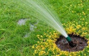 علامات الإفراط في الري على التيل الطبيعي علامات الإفراط في الري على التيل الطبيعي