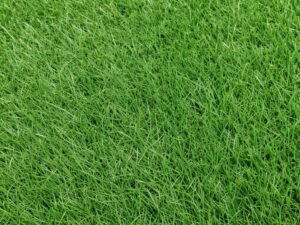 مظهر الثيل الصناعي مظهر الثيل الصناعي