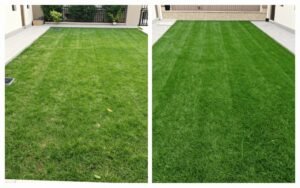 مقارنة بين الطبيعي الصناعي في حدائق الكويت