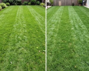 مقارنة جودة الثيل الطبيعي عبر السنوات مقارنة جودة الثيل الطبيعي عبر السنوات