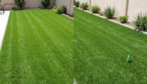 تركيب العشب الطبيعي والصناعي في حدائق الكويت