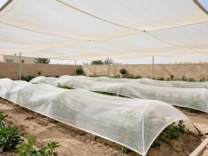 تظليل النباتات من حرارة الشمس