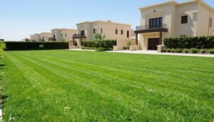 خدماتنا 7 حديقة خضراء مع زرع تيل طبيعي في الكويت