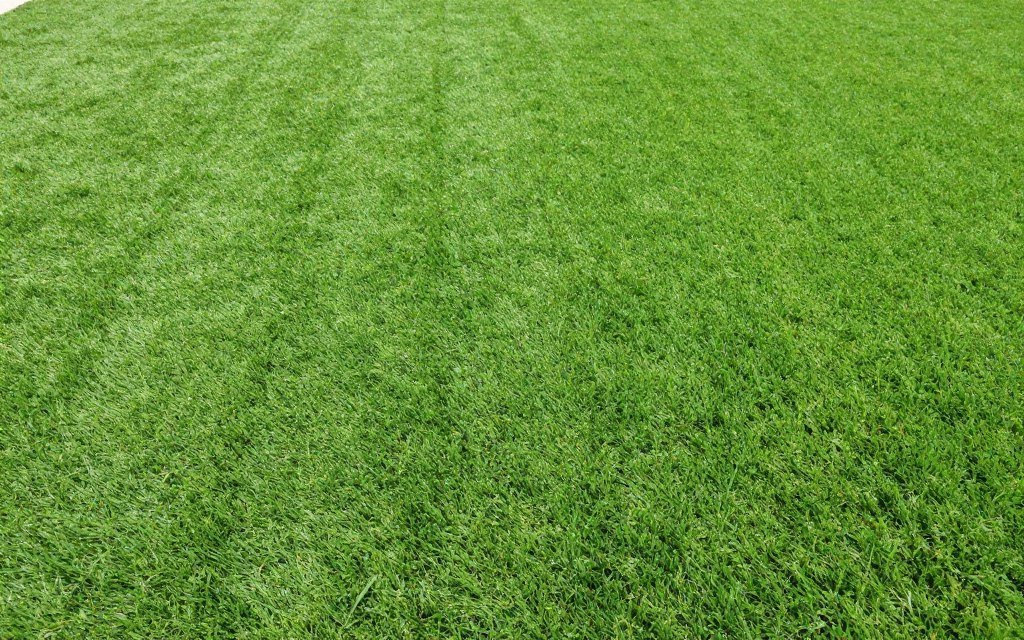 عشب صناعي عالي الجودة في حديقة منزل كويتي