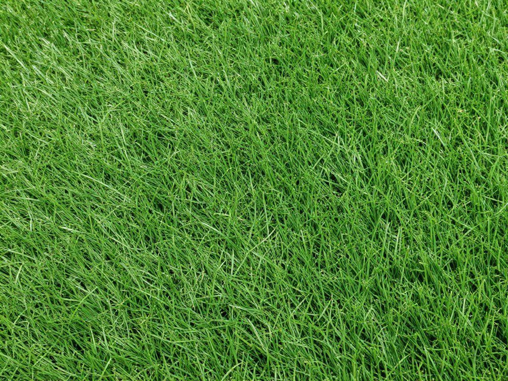 مظهر الثيل الصناعي مظهر الثيل الصناعي