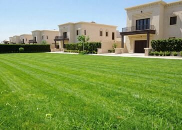 زرع تيل طبيعي في الكويت