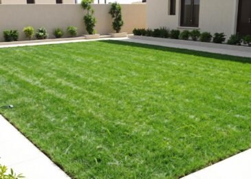 حديقة منزلية خضراء بعشب طبيعي في الكويت