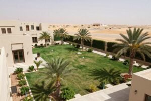 حديقة منزلية في الكويت تظهر أهمية التنسيق الجيد