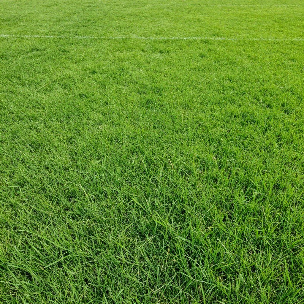 عشب البيرمودا الطبيعي في الحدائق الكويتية