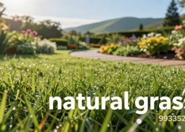 عشب طبيعي | عشب طبيعي للحدائق | زراعة عشب طبيعي | تركيب عشب طبيعي | بيع عشب