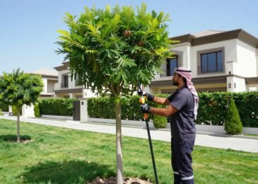 قص وتقليم أشجار في حديقة منزل كويتية مع عامل محترف