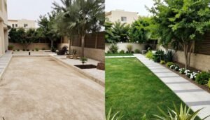 مراحل تطور حديقة من البداية للنهاية في الأحمدي