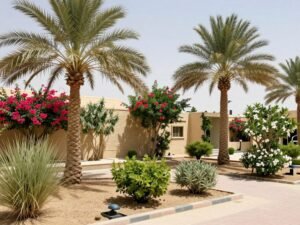 نباتات مقاومة للحرارة مناسبة لتنسيق حدائق بيان في الكويت