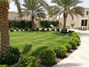 حديقة منزلية مع تنسيق حدائق الكويت تظهر الأشجار والمسطحات الخضراء