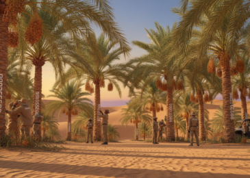 زراعة نخيل | 99335258