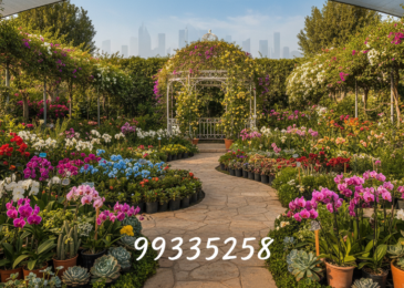مشاتل الكويت | 99335258