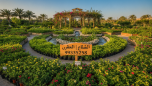مشاتل الكويت | 99335258 مشاتل الكويت | 99335258