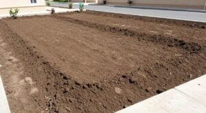 تجهيز تربة حديقة منزلية في الكويت تجهيز تربة حديقة منزلية في الكويت