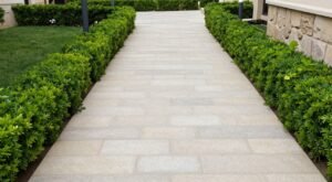 ممر حجري داخل حديقة الكويت ممر حجري داخل حديقة الكويت