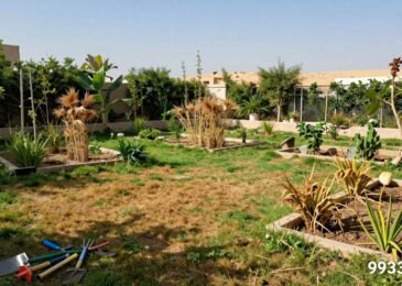 تجديد الحدائق | 99335258