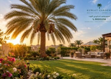 زراعة النخيل | 99335258