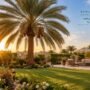 زراعة النخيل | 99335258