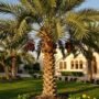 شركة زراعه | دار الروضة | 99335258